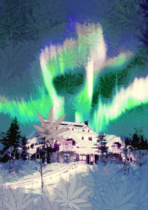 aurora borealis through cannabis eyes