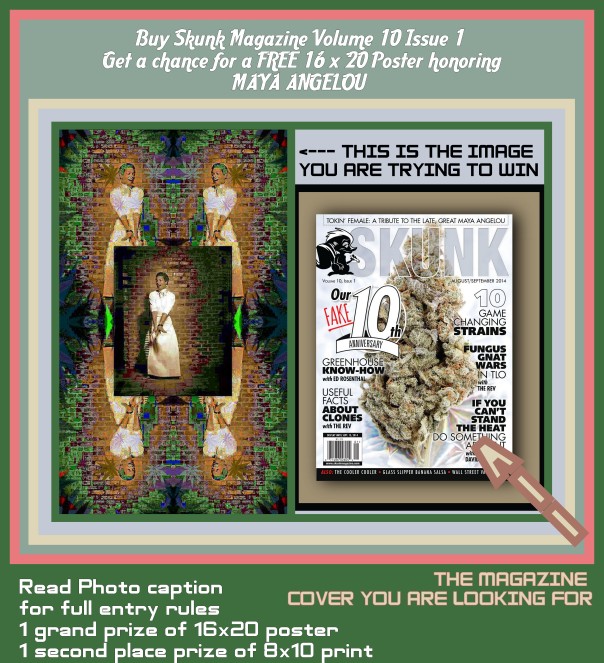 How to win 1. Share this image to your wall 2. Buy a copy of skunk volume 10 issue 1 3. Take a selfie holding the magazine 4. Pm it to breezy kiefair or please bogart my art, alternatively you may email the selfie to btokeefer@gmail.con First person to show me proof of pages gets a 16x20 poster of the image honoring Maya Angelou. Second place is an 8x10 print of the same image. Invite your friends and keep your eyes peeled for skunk especially in barnes and nobles and 7/11s Full rules for winning located at event page on facebook: https://www.facebook.com/events/270664136471710/